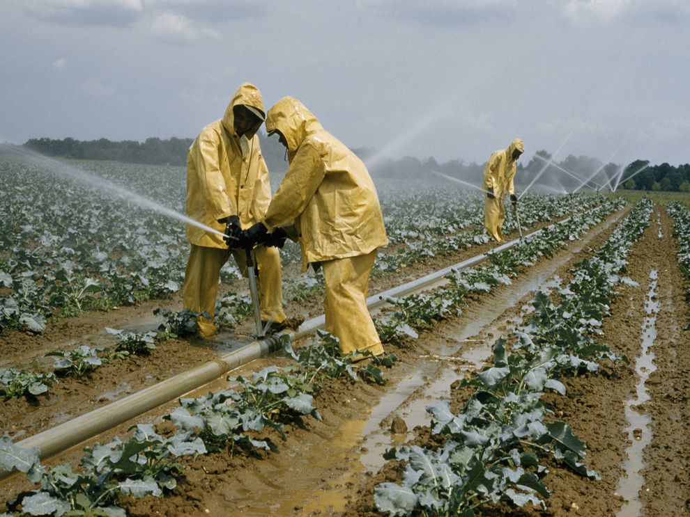 Field of Agriculture